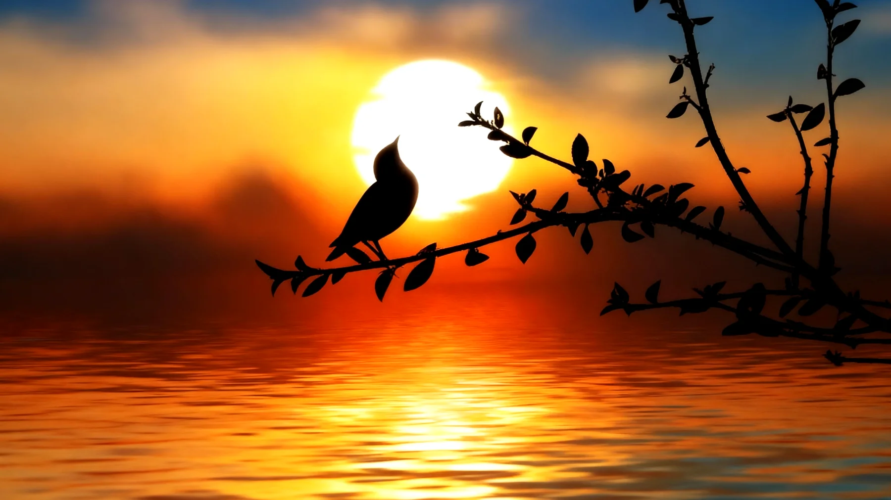 Beautiful 2026-01-25T08:37:20.961Z"